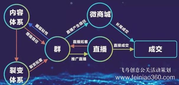 北京直播公司直播技巧 ‖ 品牌直播如何啟動，如何搭建直播運營體系